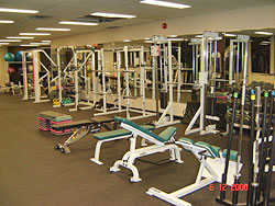 pic1