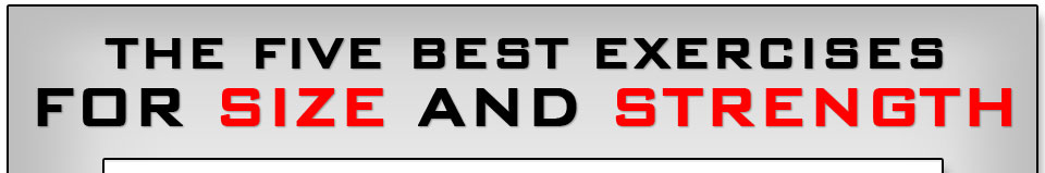 The FIVE Best Exercises for SIZE and STRENGTH